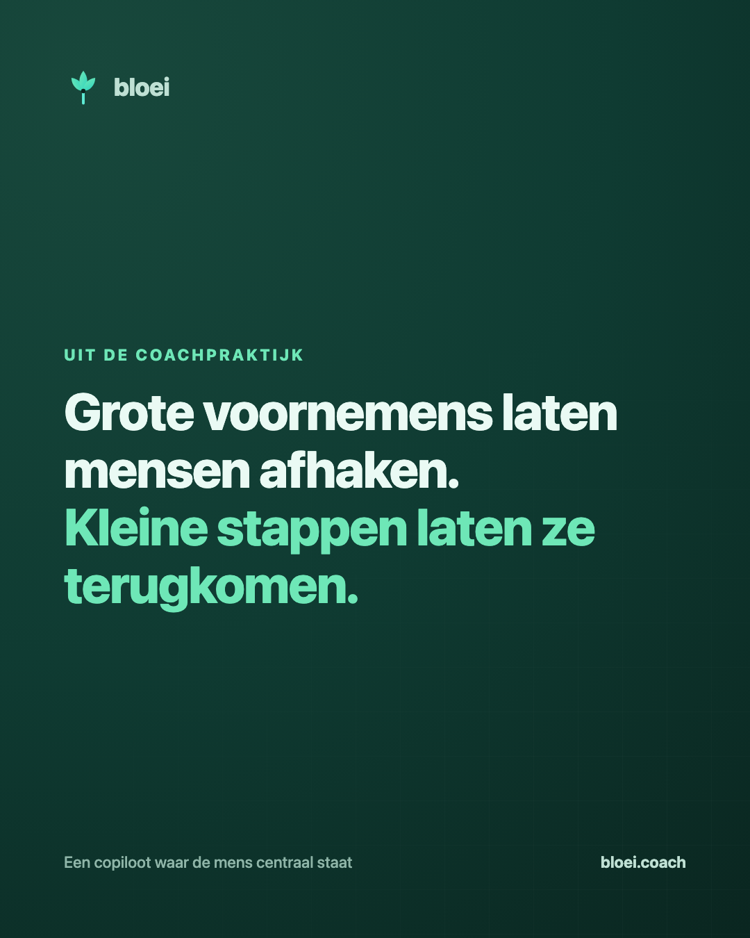 De kleinste stap